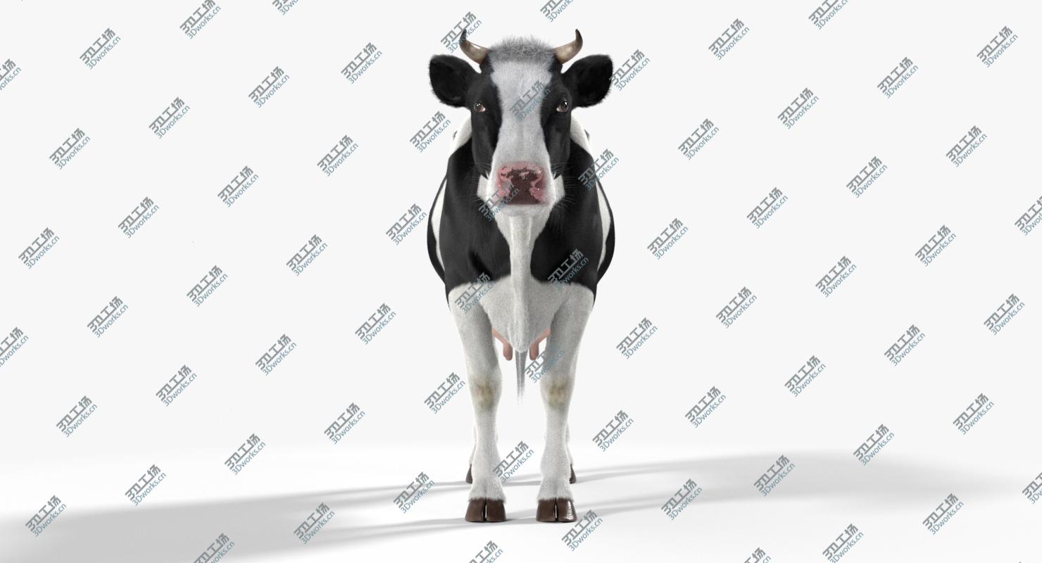 images/goods_img/202104091/Cow Realistic/3.jpg
